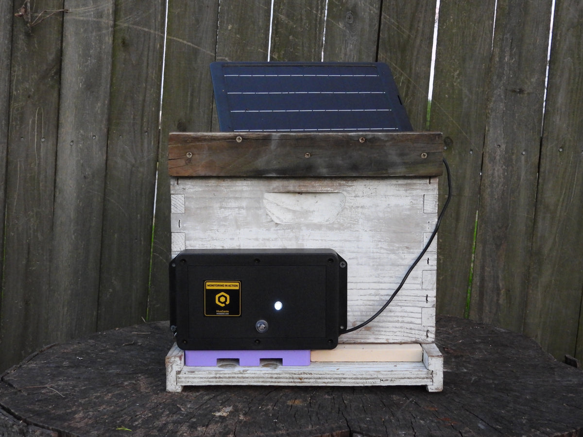 Buy Now Your Hive Genie Revision 5 Bee and Hive Monitor – HiveGenie